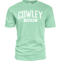 Blue84 Cowley Tigers in Oval Distresed Fashion Colors T-shirt